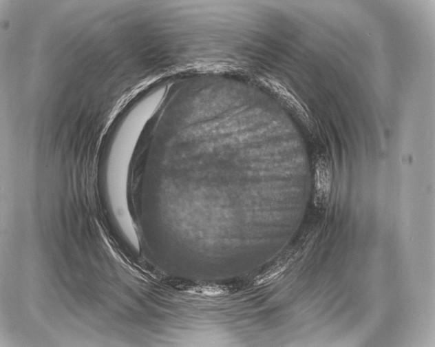 X0000086960492200705141629