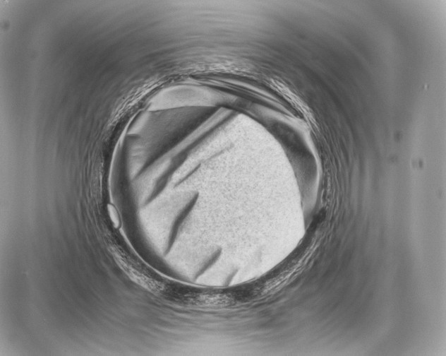 X0000086960493200705141629