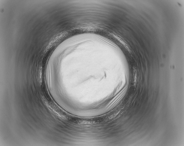 X0000086960494200705141629