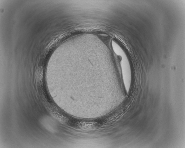 X0000086960495200705141629