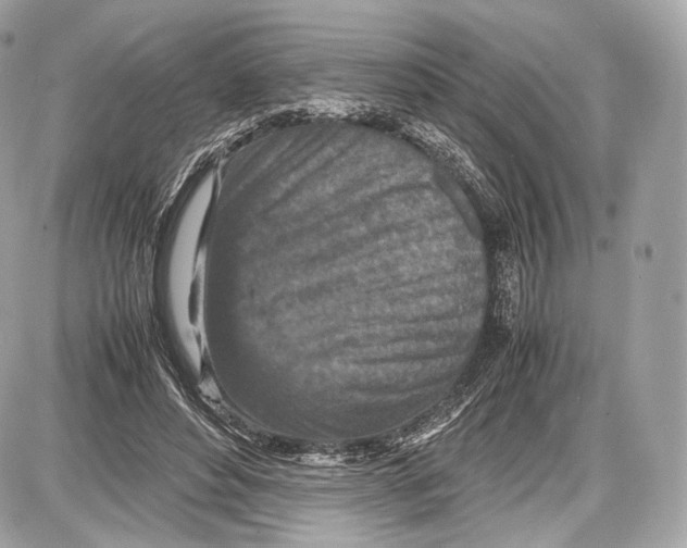 X0000086960496200705141629