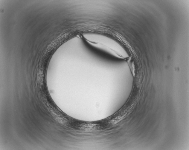 X0000086960497200705141629