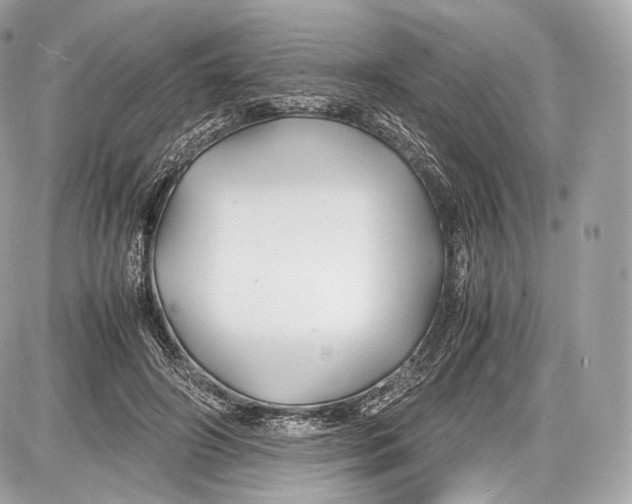 X0000086960498200705141629