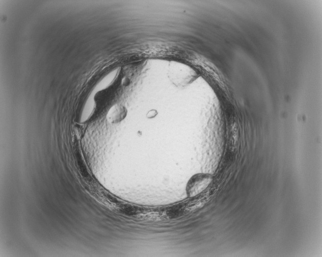 X0000086960499200705141629