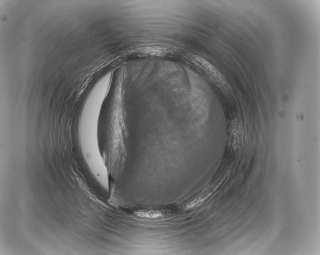 X0000086960500200705141629