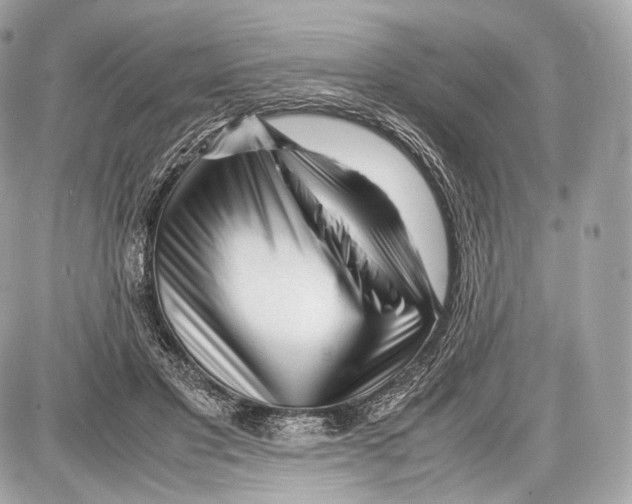 X0000086960501200705141629