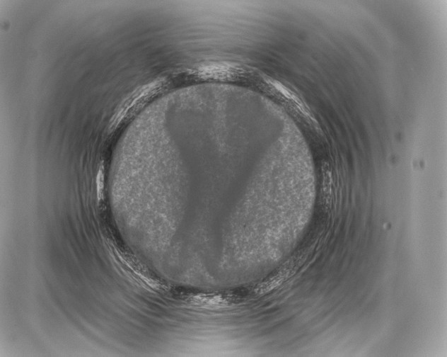 X0000086960502200705141629