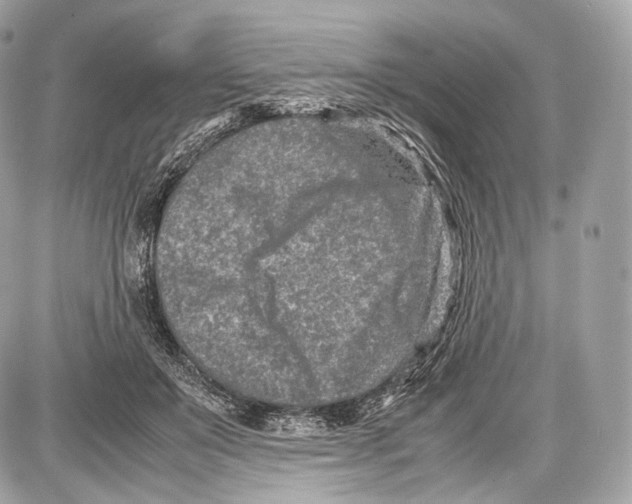 X0000086960503200705141629