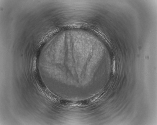 X0000086960504200705141629