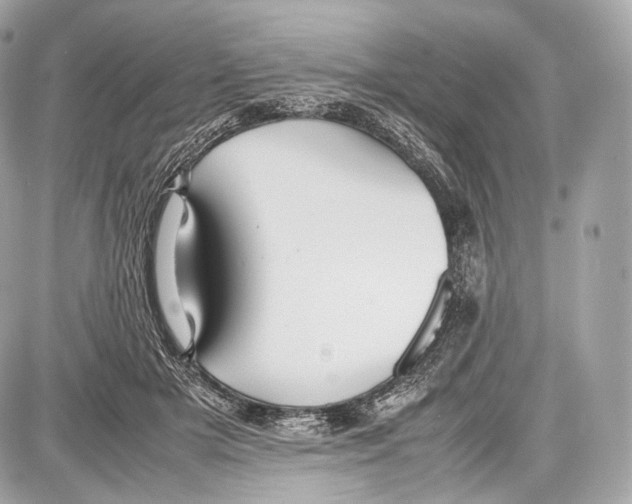 X0000086960505200705141629