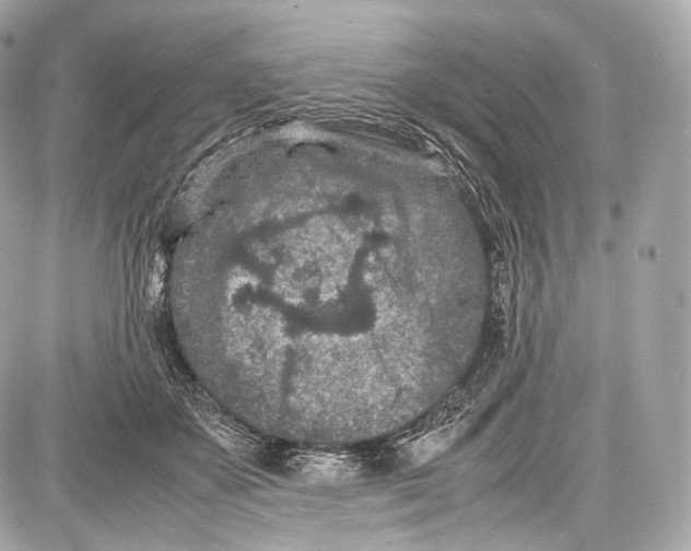 X0000086960507200705141629