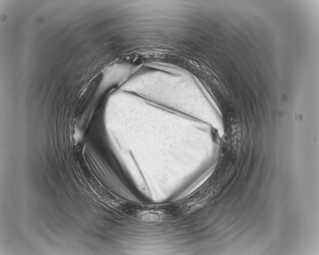 X0000086960508200705141629