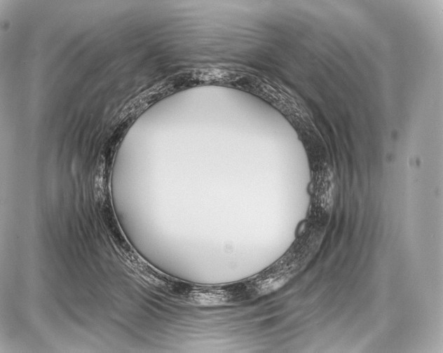 X0000086960510200705141629