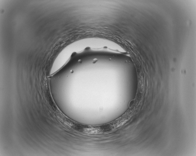 X0000086960511200705141629