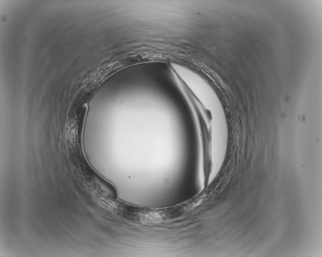 X0000086960513200705141629