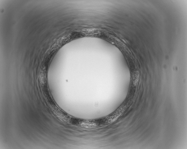 X0000086960515200705141629