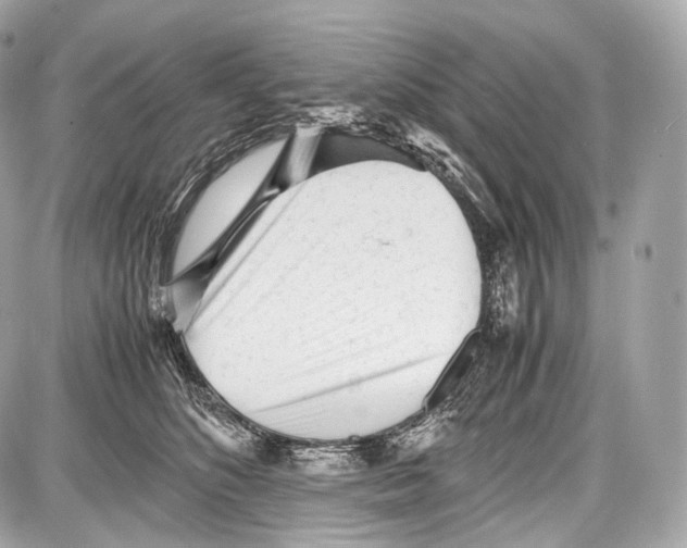 X0000086960516200705141629