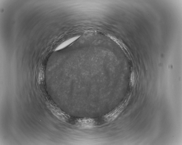 X0000086960517200705141629