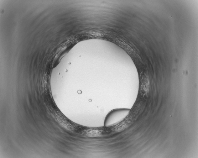 X0000086960518200705141629