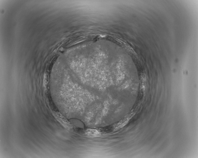 X0000086960519200705141629