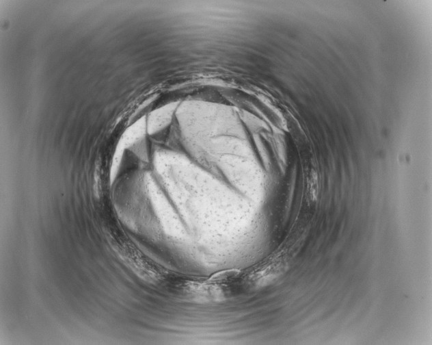 X0000086960520200705141629