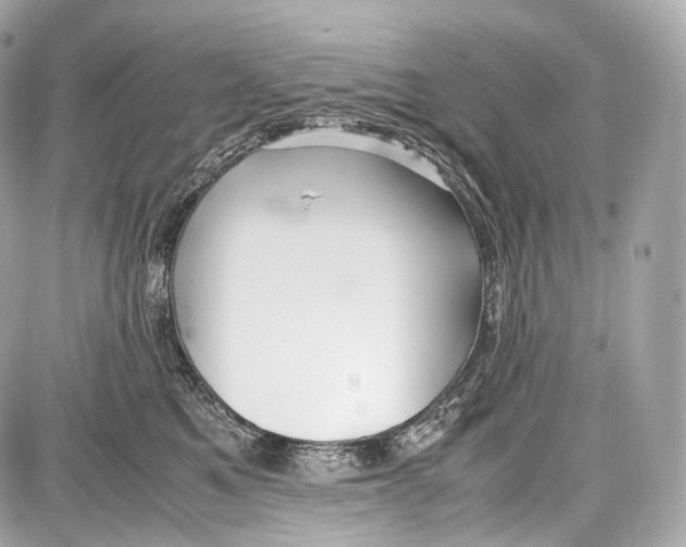 X0000086960521200705141629