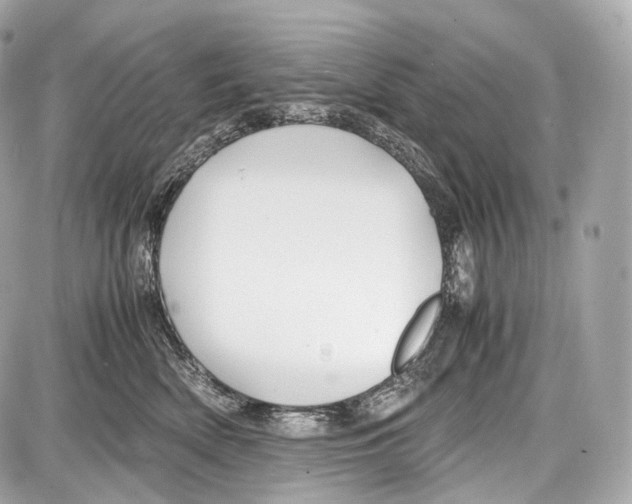 X0000086960522200705141629