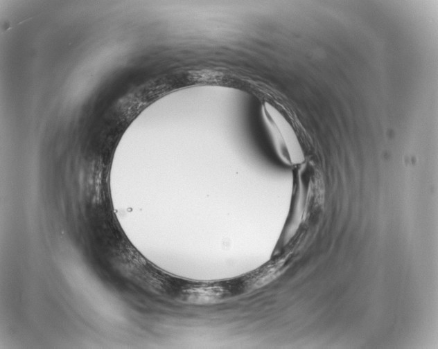 X0000086960525200705141629