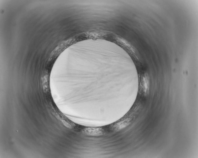 X0000086960526200705141629