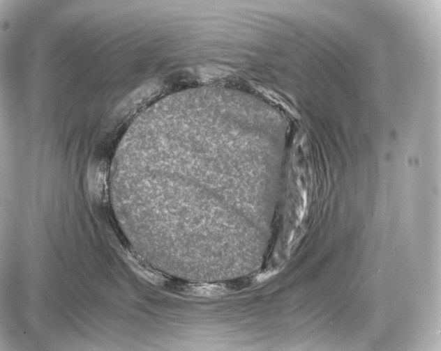 X0000086960527200705141629