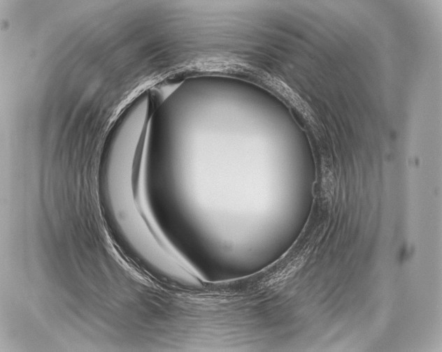 X0000086960530200705141628