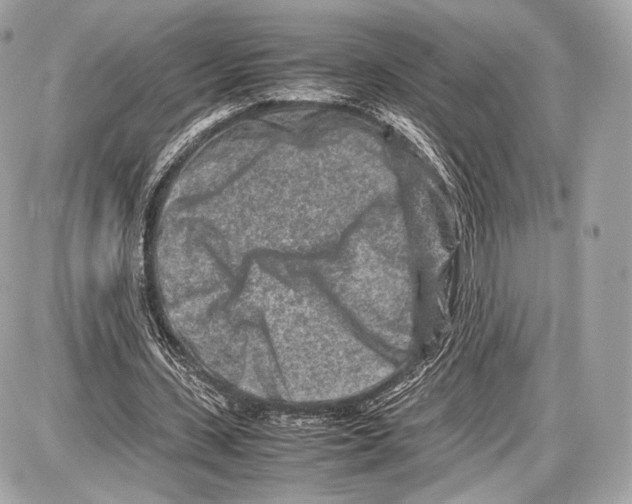 X0000086960531200705141628