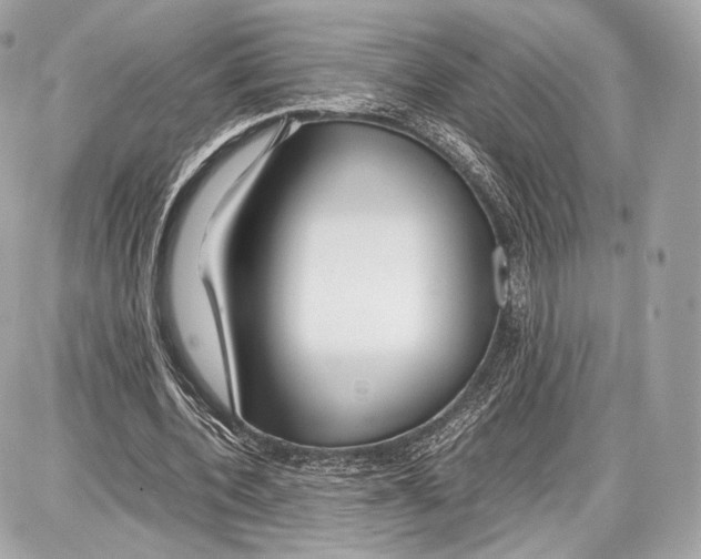 X0000086960532200705141628