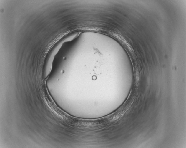 X0000086960533200705141628