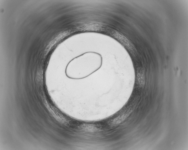 X0000086960534200705141628