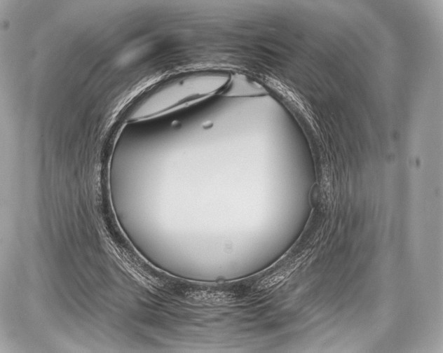 X0000086960535200705141628