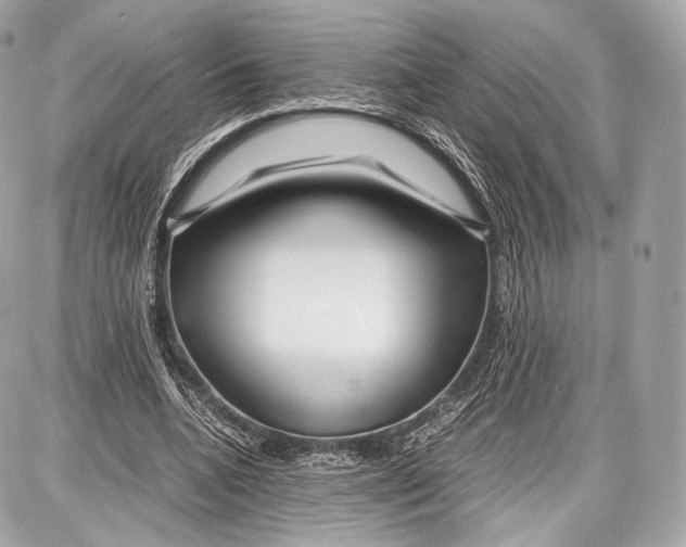 X0000086960536200705141628