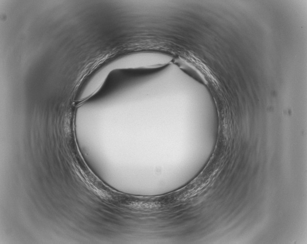 X0000086960537200705141628