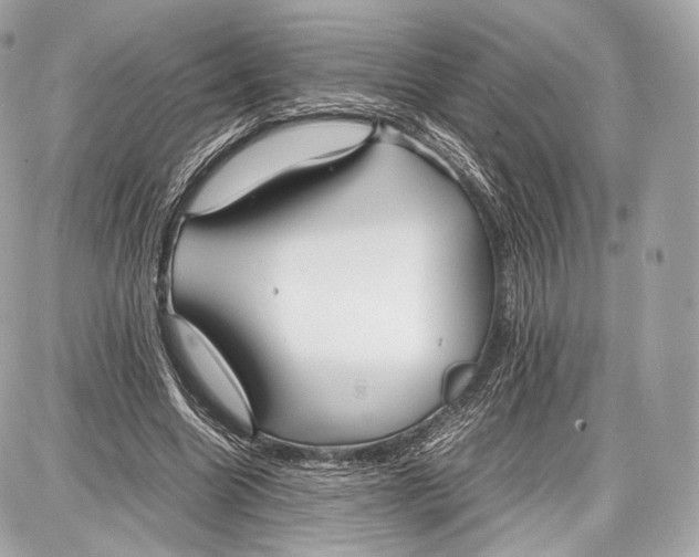 X0000086960538200705141628