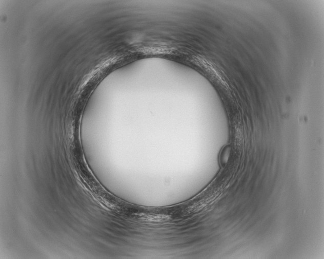 X0000086960539200705141628