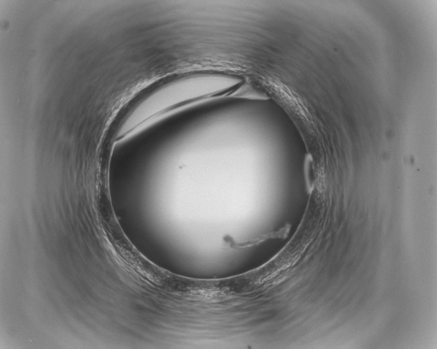 X0000086960540200705141628