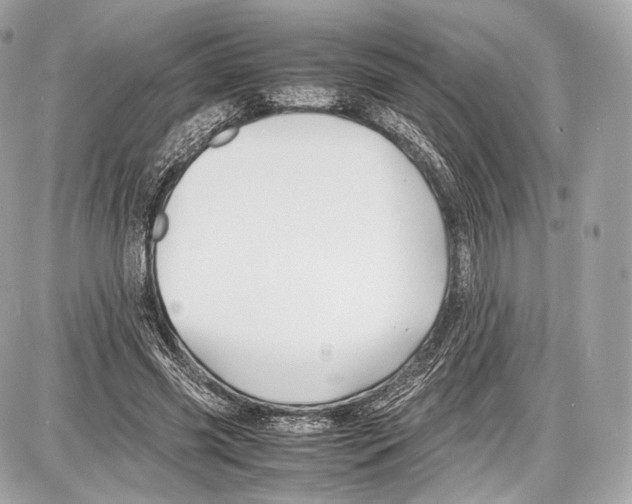 X0000086960541200705141628