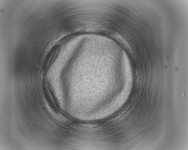 X0000086960542200705141628