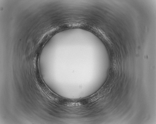 X0000086960543200705141628