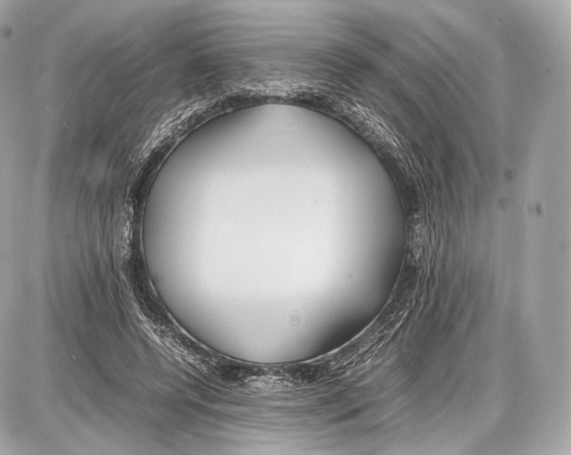 X0000086960544200705141628