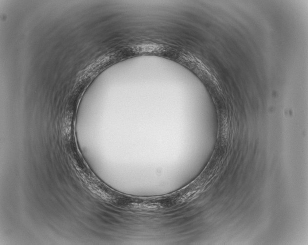 X0000086960545200705141628