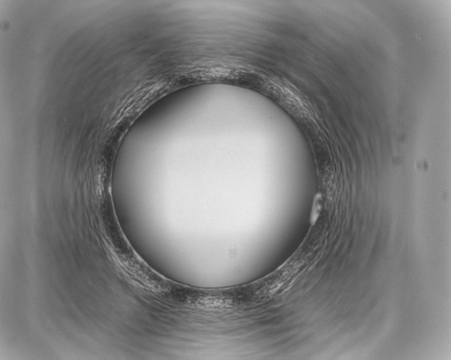 X0000086960546200705141628