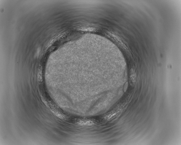 X0000086960547200705141628