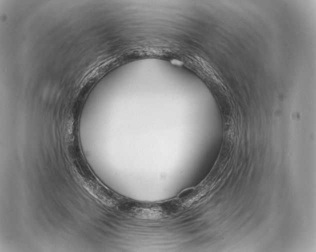 X0000086960548200705141628