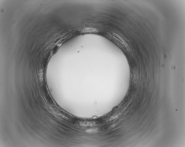 X0000086960549200705141628